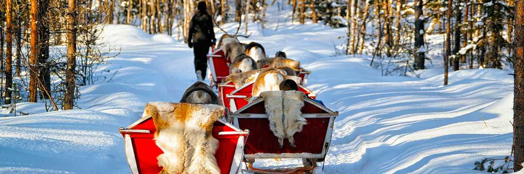 Winter Wedding sleigh ride through New York at Christmas. 